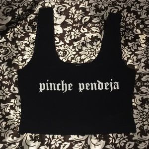 PINCHE PENDEJA FAMILIA METICHE ALANIZED MERCH